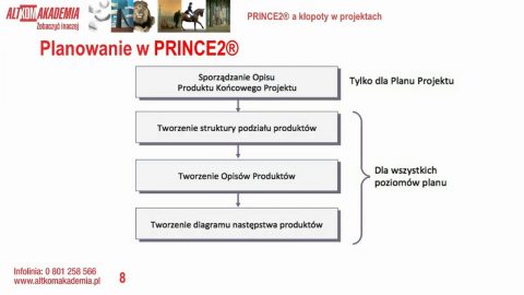 PRINCE2® a kłopoty w projektach